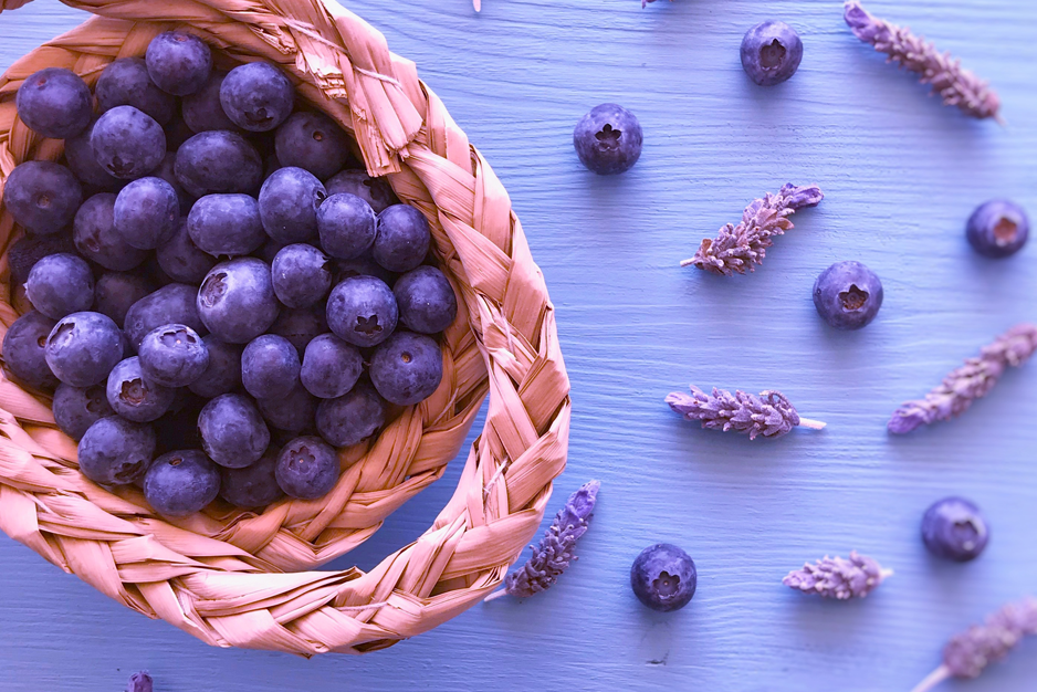 Mirtillo blu proprietà: un Superfood approvato dalla scienza